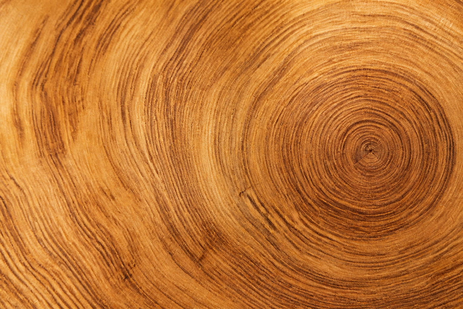 Natürliche Holzquerschnittsfläche mit unregelmäßigen Jahresringen